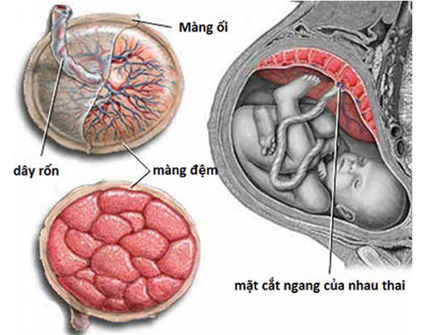 nhung-bat-thuong-ve-day-ron-thuong-gap-5