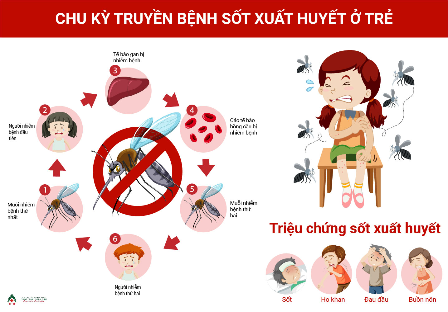cac-giai-doan-nguy-hiem-cua-benh-sot-xuat-huyet-o-tre-2
