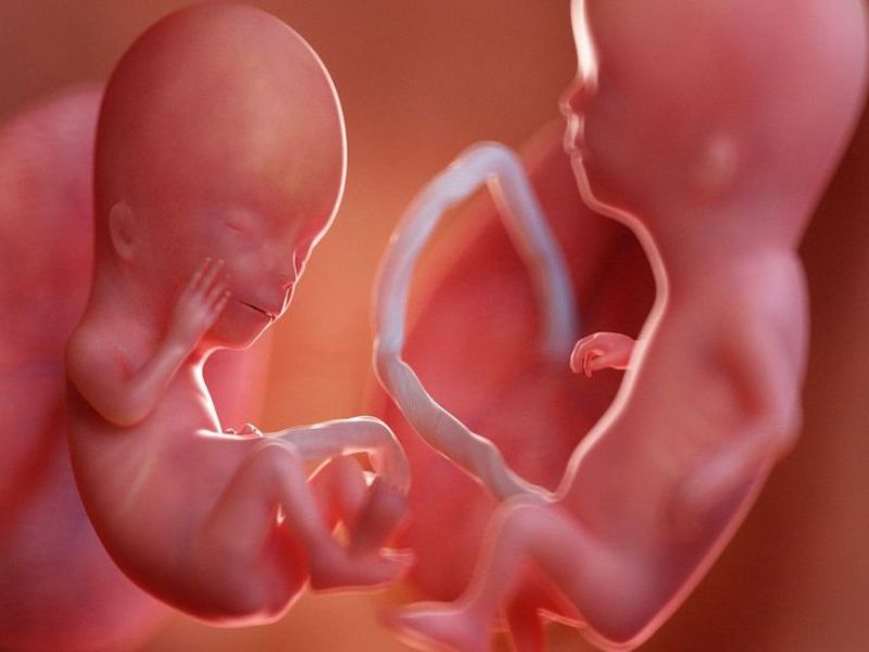 truyen-mau-song-thai-3