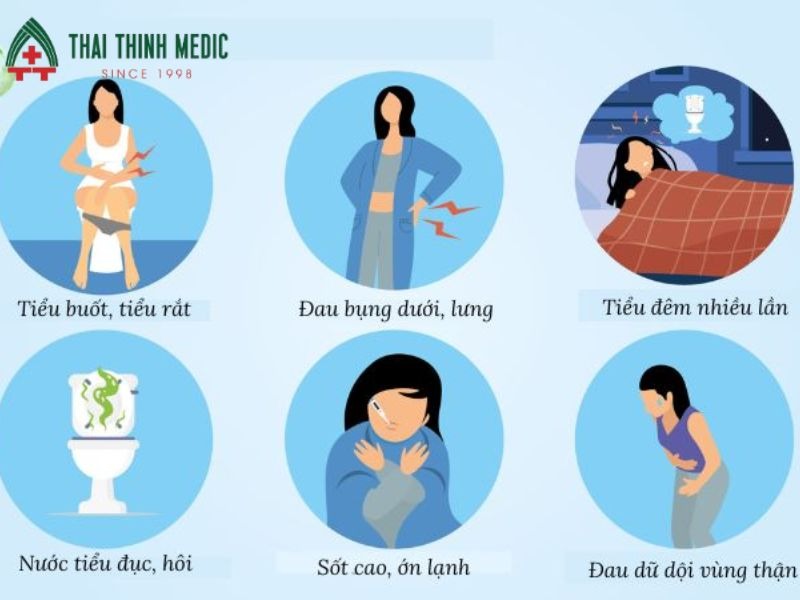 nguyen-nhan-viem-duong-tiet-nieu-dau-hieu