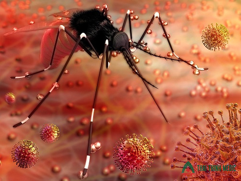 virus-gay-sot-xuat-huyet
