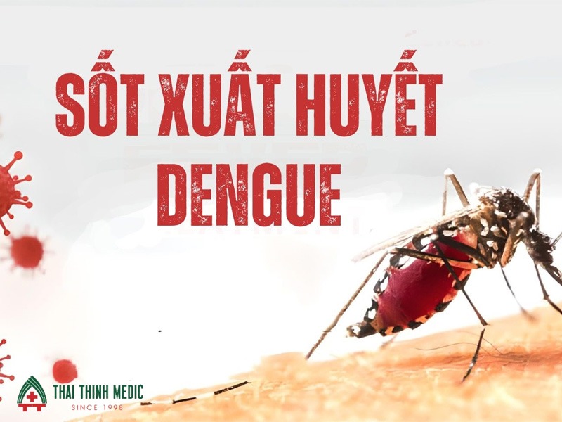 dau-hieu-sot-xuat-huyet