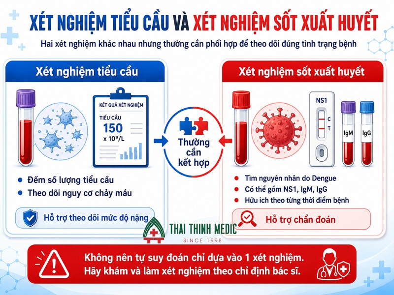 tieu-cau-bao-nhieu-la-nguy-hiem-xet-nghiem