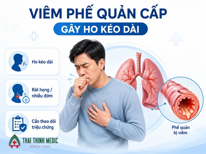 ho-keo-dai-viem-phe-quan-cap