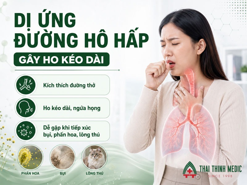 ho-keo-dai-khong-khoi-do-di-ung