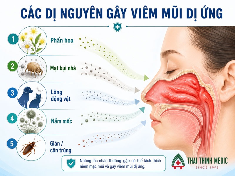 cac-di-nguyen-gay-viem-mui-di-ung