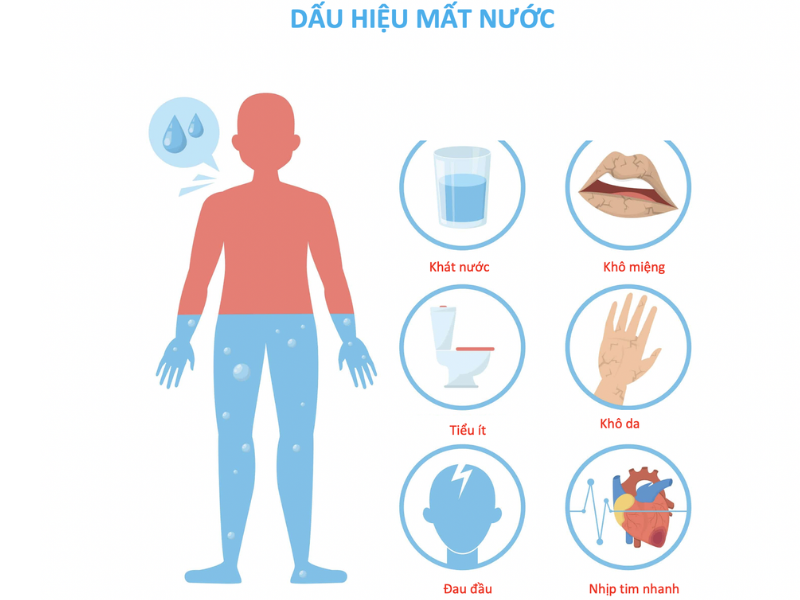tieu-chay-cap-mat-nuoc