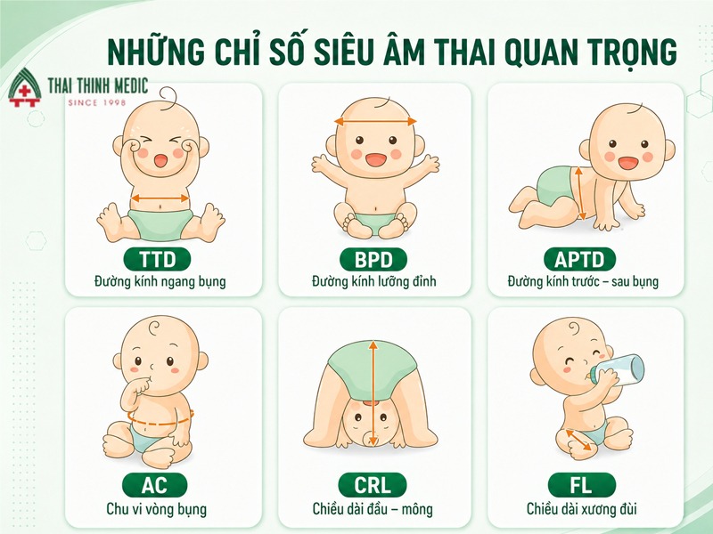 aptd-trong-sieu-am-thai-me-can-luu-y