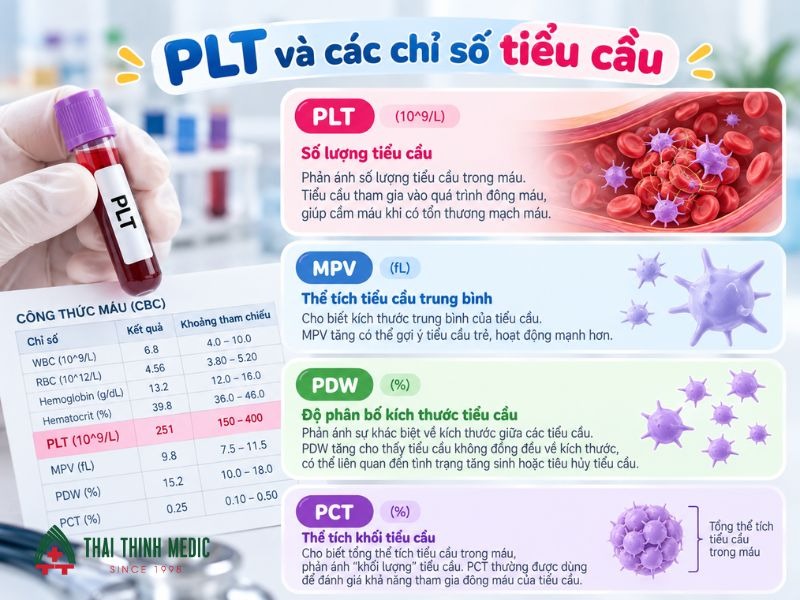 doc-ket-qua-xet-nghiem-mau-plt