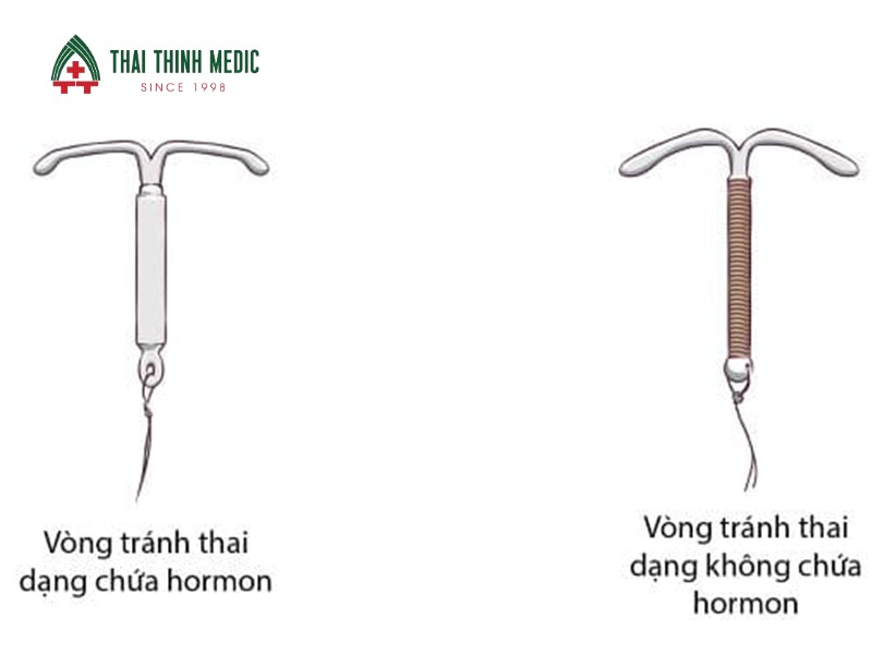 phan-biet-vong-tranh-thai-dong