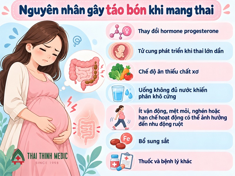 nguyen-nhan-tao-bon-khi-mang-thai