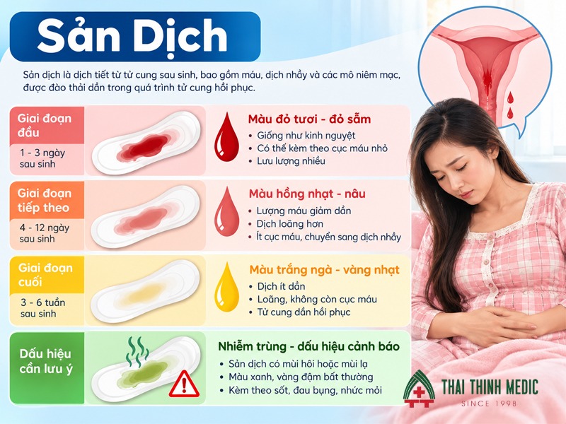 san-dich-sau-sinh-theo-giai-doan